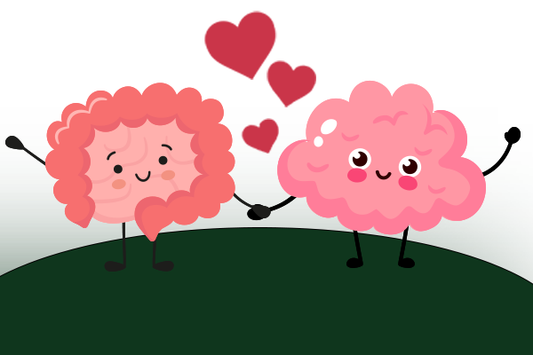 The Gut-Brain Connection: How Your Microbiome Impacts Your Mental Health