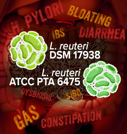 Combatting Bad Gut Bacteria with L. reuteri