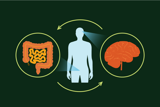 Empower Your Health: Simple Steps to Support Your Gut Microbiome