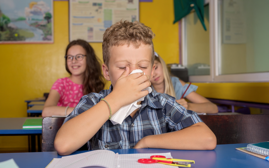 Back to School, Back to Balance: The Science Behind Fewer Sick Days
